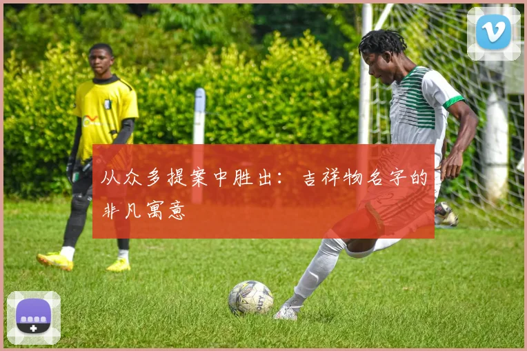 从众多提案中胜出：吉祥物名字的非凡寓意