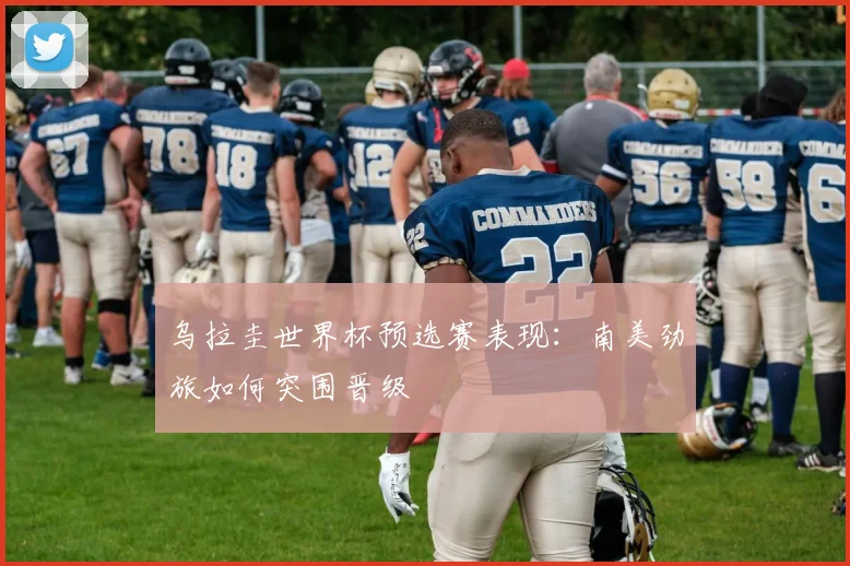 乌拉圭世界杯预选赛表现：南美劲旅如何突围晋级