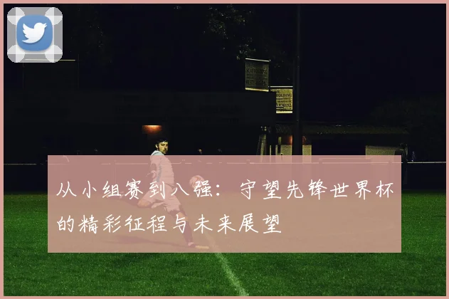 从小组赛到八强：守望先锋世界杯的精彩征程与未来展望