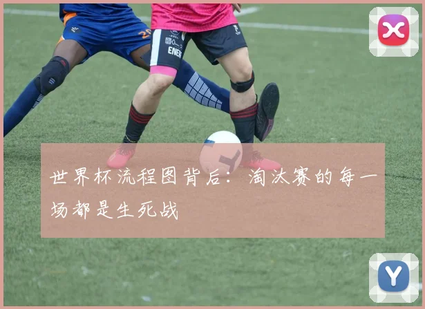 世界杯流程图背后：淘汰赛的每一场都是生死战