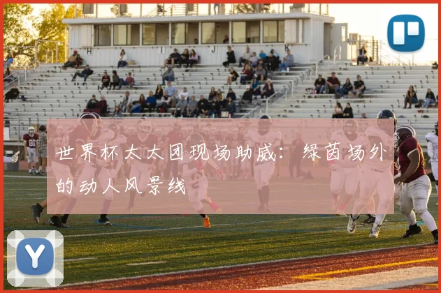 世界杯太太团现场助威：绿茵场外的动人风景线