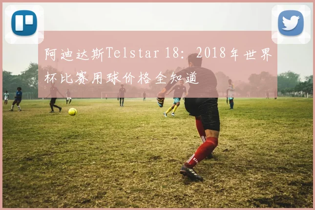 阿迪达斯Telstar 18：2018年世界杯比赛用球价格全知道
