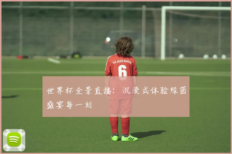 世界杯全景直播:沉浸式体验绿茵盛宴每一刻