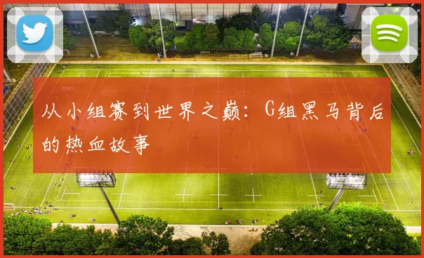 从小组赛到世界之巅:G组黑马背后的热血故事