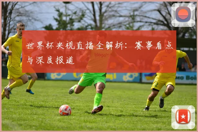 世界杯央视直播全解析：赛事看点与深度报道