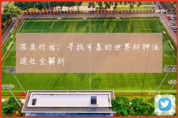 深度对话：寻找可靠的世界杯押注途径全解析