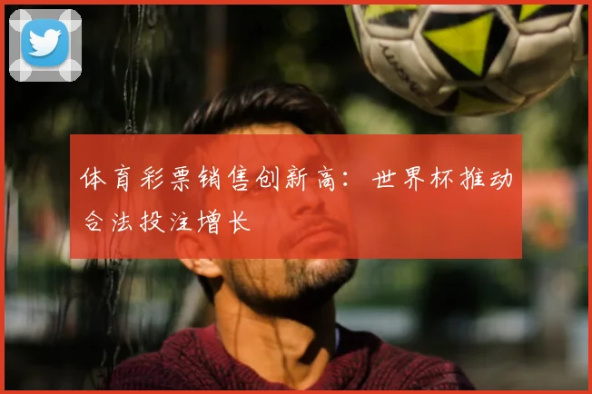 体育彩票销售创新高：世界杯推动合法投注增长