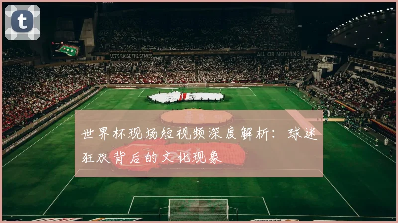 世界杯现场短视频深度解析：球迷狂欢背后的文化现象