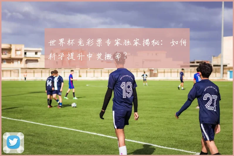 世界杯竞彩票专家独家揭秘：如何科学提升中奖概率？