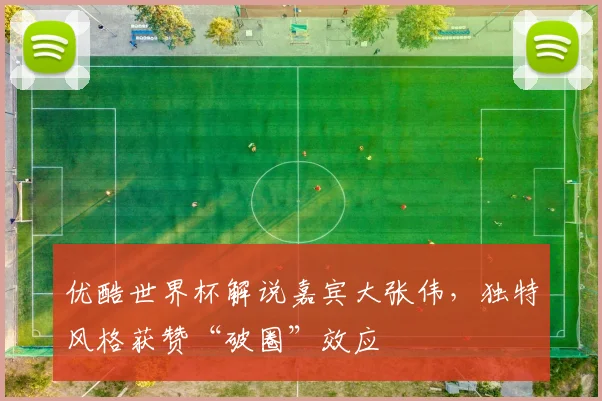 优酷世界杯解说嘉宾大张伟，独特风格获赞“破圈”效应