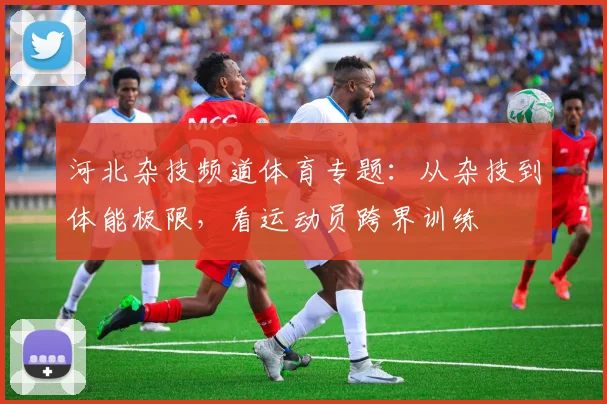 河北杂技频道体育专题:从杂技到体能极限,看运动员跨界训练
